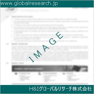 グローバルリサーチ調査資料のイメージ